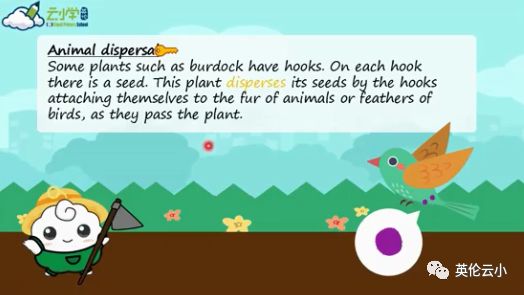 植物是怎么传播种子的二年级上册,植物传播种子方法有哪些举例说明