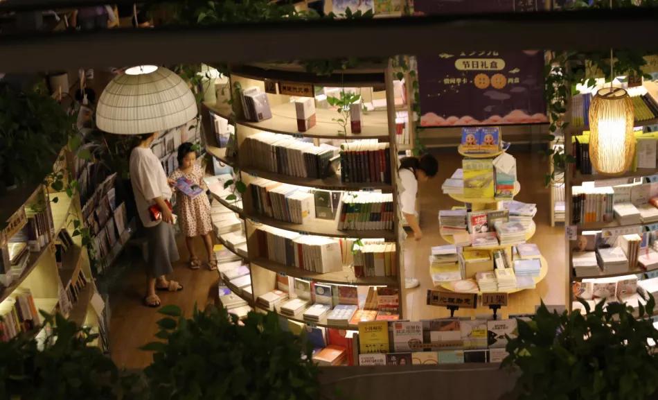 古都夜八点相约植物园,古都夜八点相约洛阳城