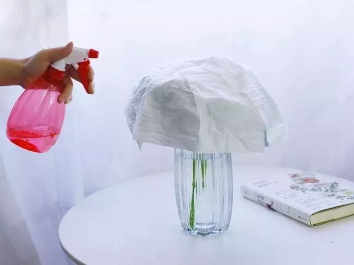 绣球醒花花头可以泡水吗,绣球盆栽可以整个泡水里吗