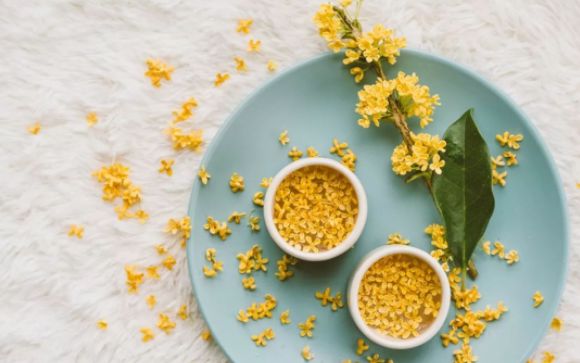 疗愈身体的神奇音乐100首完整版,疗愈身体的神奇密码