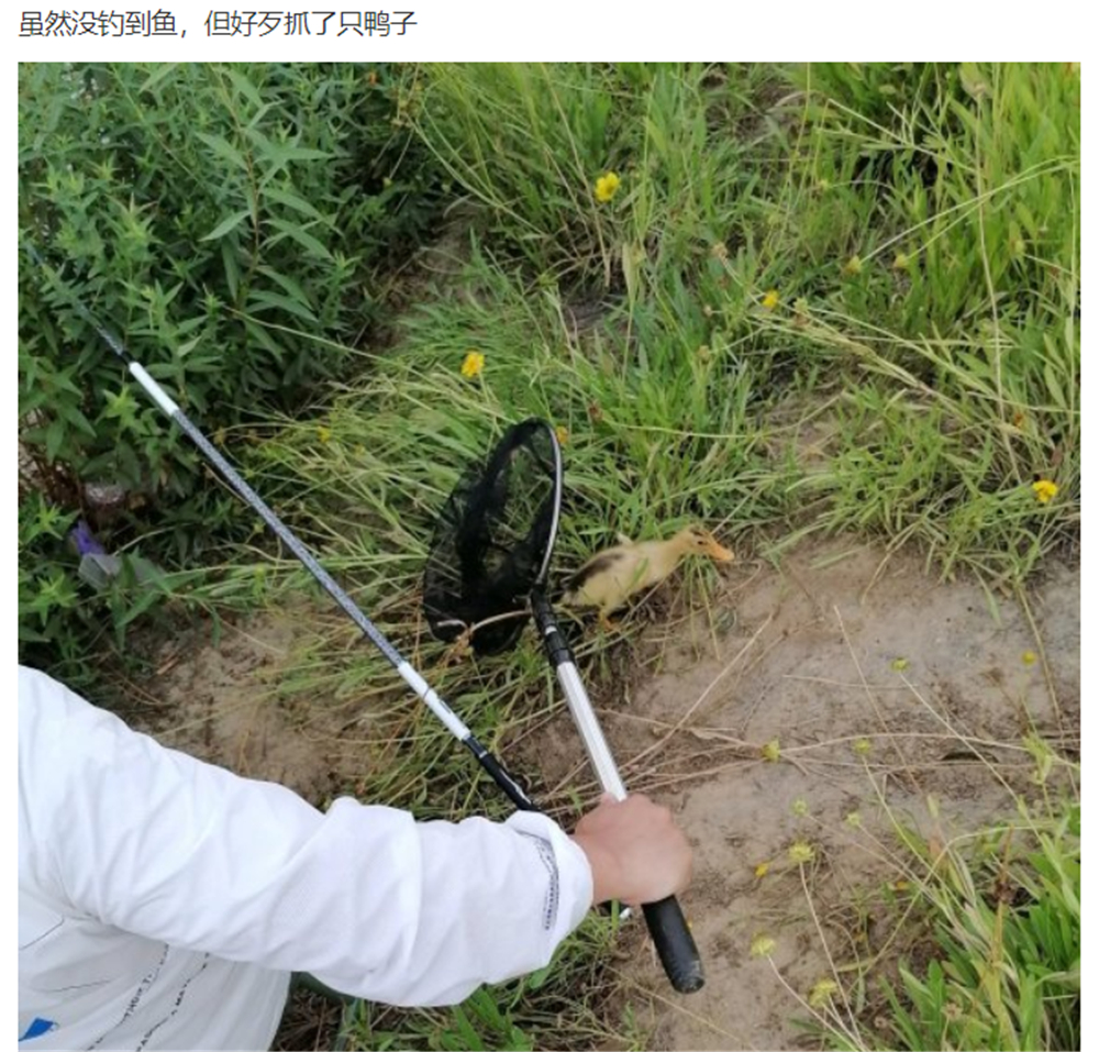 文能提竿安天下，武能执叉斗鳄鱼：鱼竿在手，万物皆有？