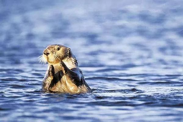 雨水养生防寒养脾正当时,雨水节气养肝最佳方法