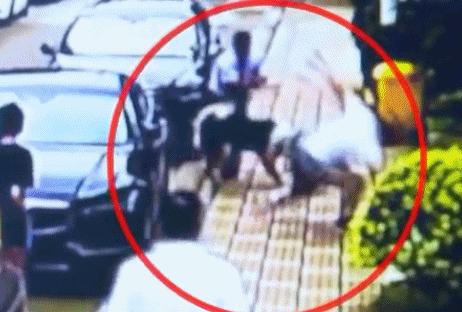 犬病的发现及护理常识,犬伤处置规范最新指南