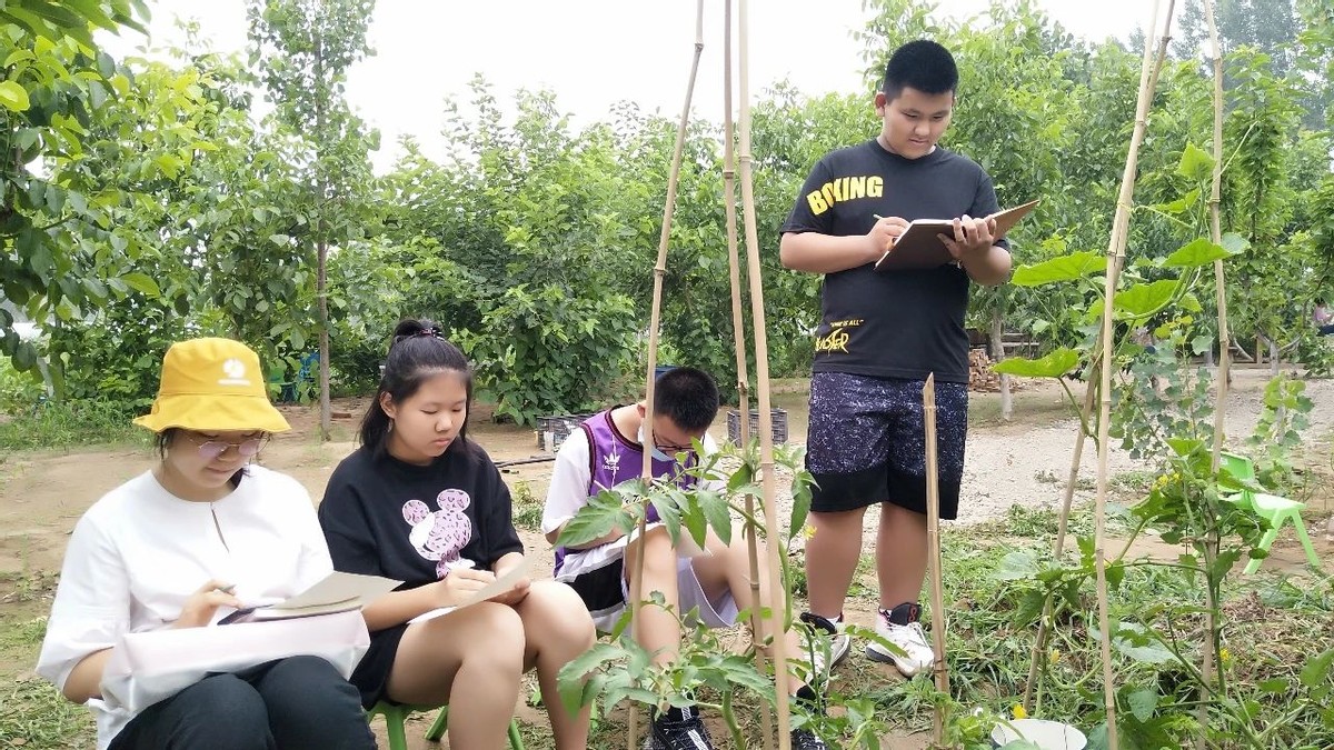 农村五亩地怎样利用赚钱,土地怎样利用赚钱