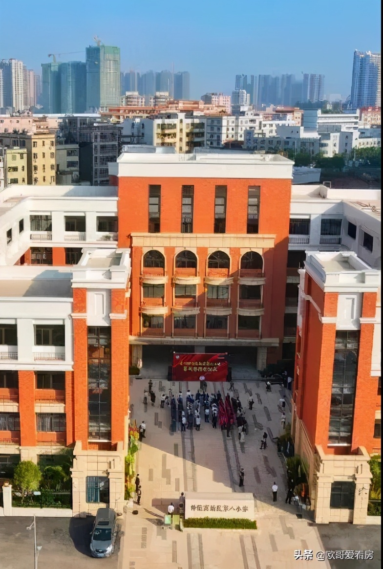 惠州仲恺区以后发展怎么样,仲恺区2020年gdp