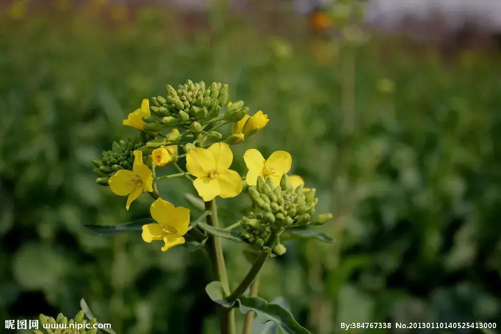 剃头经历日记,剃头师傅回忆