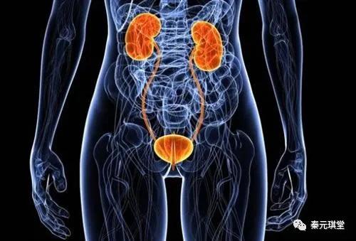 听歌也能养生,听歌也能治愈心灵