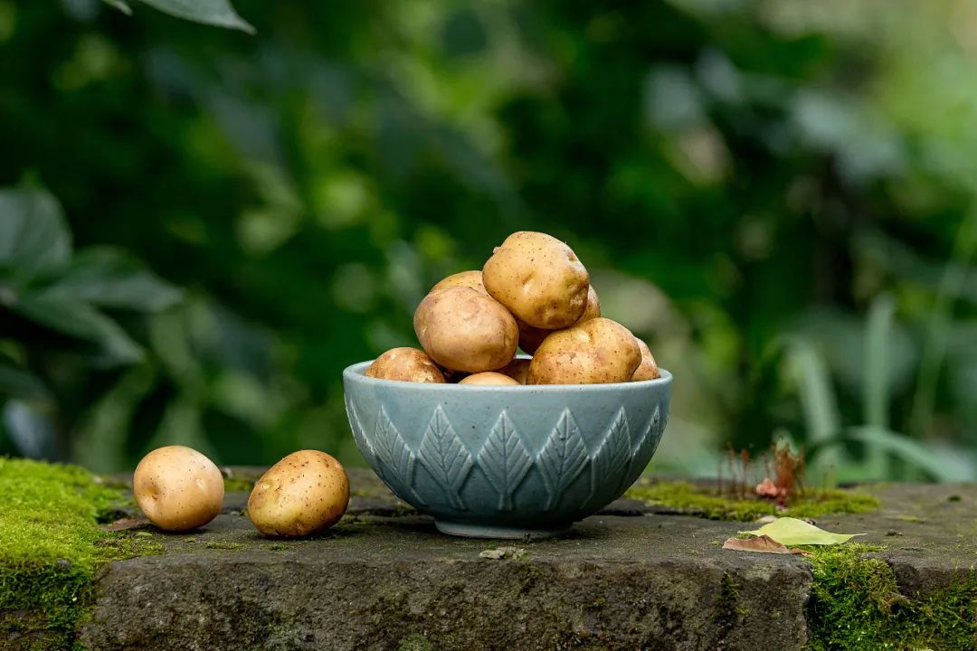 你对霸道的力量一无所知是什么梗,你对宇智波的力量一无所知日语