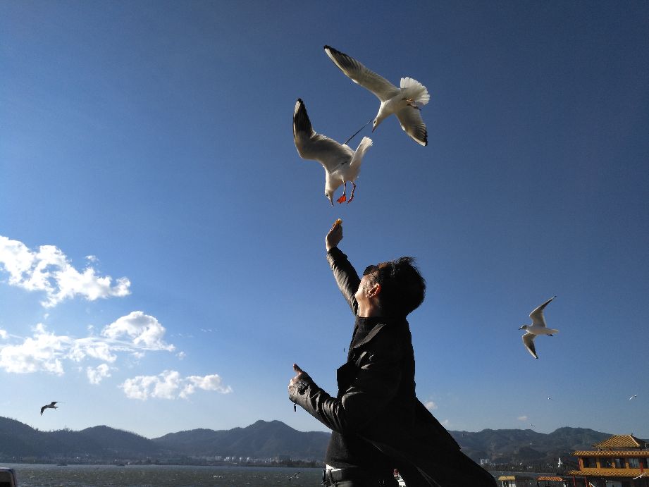 经典的自驾游七日游,66岁老人自驾游最新视频