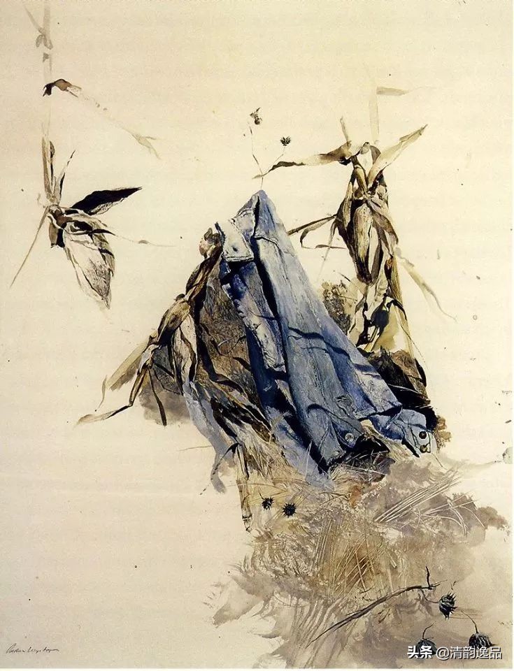 类似安德鲁怀斯的画家,安德鲁怀斯画家视频