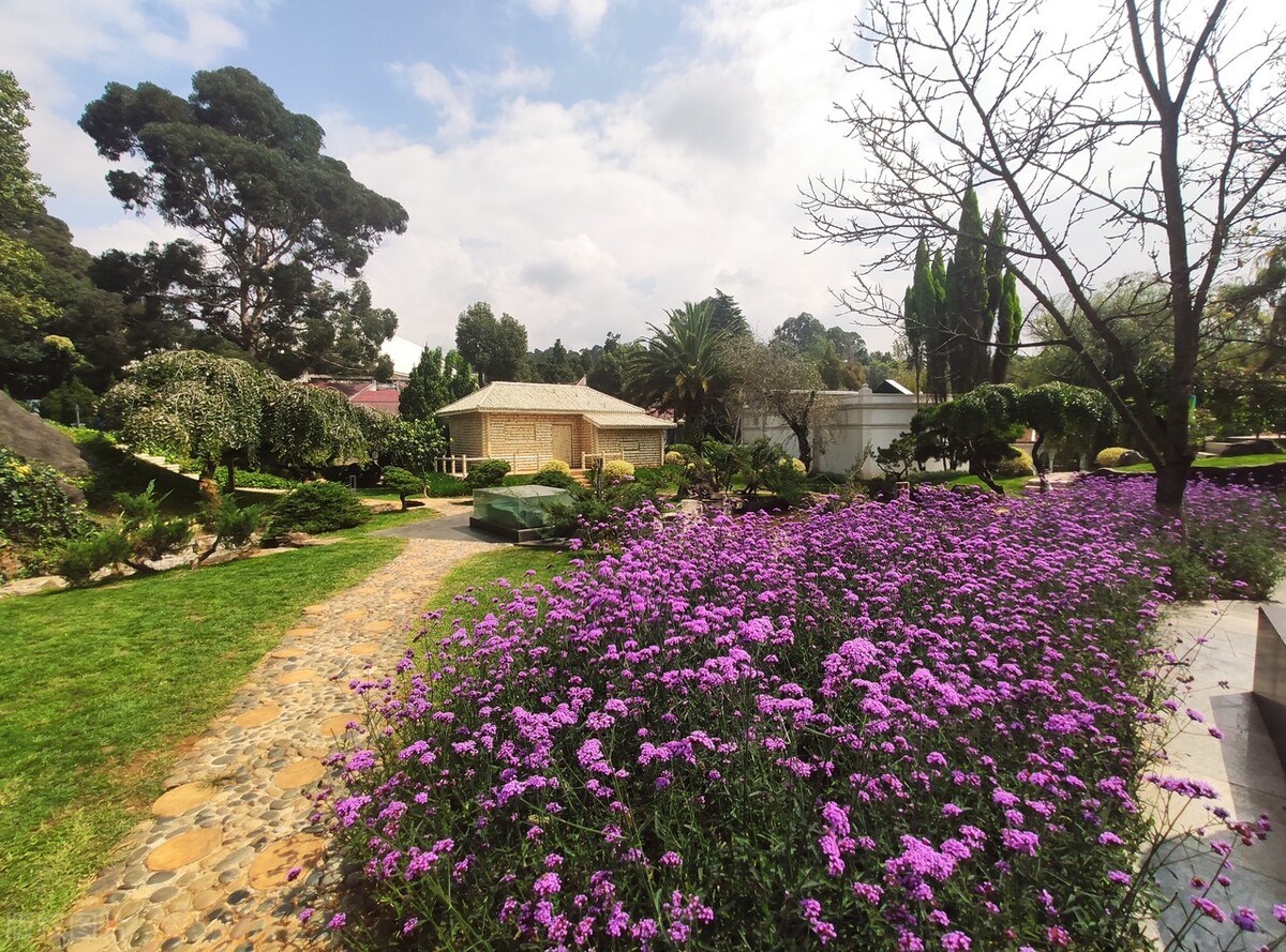 昆明世博园是免费参观的吗,第一次来昆明的感受