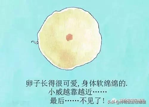 孩子无论你怎么做都会爱你,孩子你要相信真正爱你的人