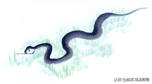 2019年运气好的属相,属相在2019年的运势