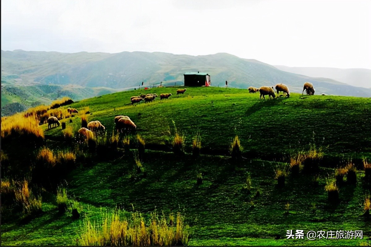新疆旅游攻略必玩的景点阿克苏,离阿克苏近的疆内旅游景点
