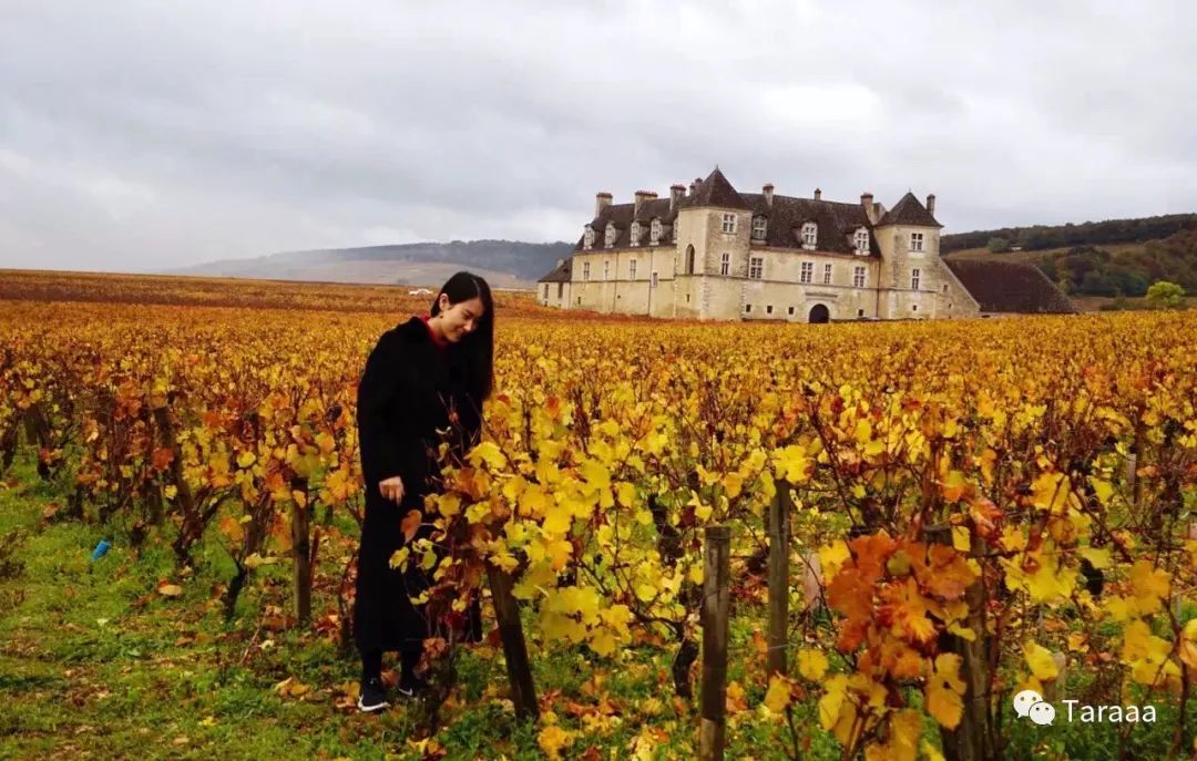 在顶级律师事务所工作体验,在顶级公司上班的一天