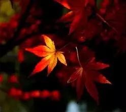 适合16岁女生的大牌口红,选对口红做个精致的猪猪女孩