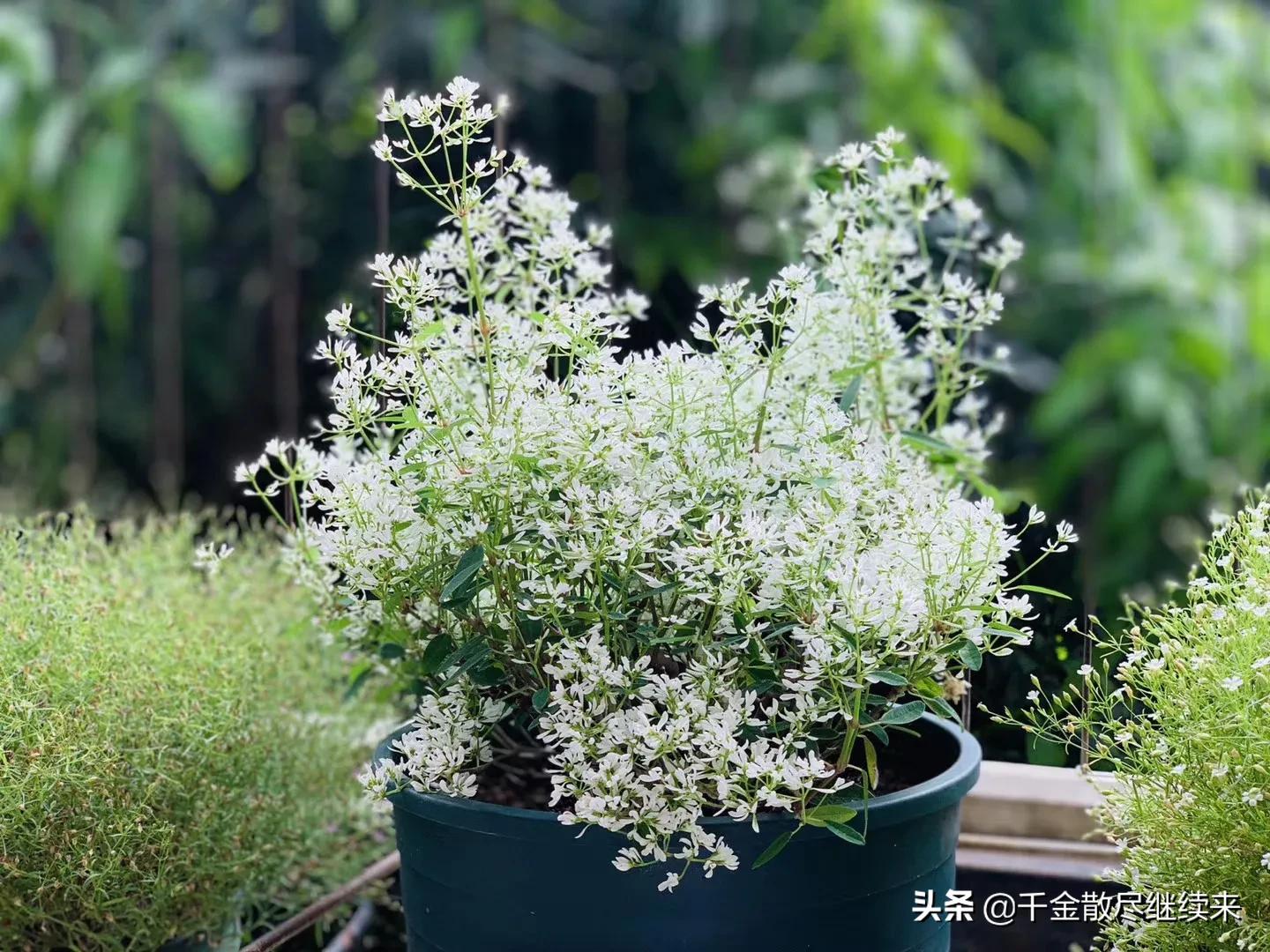 收录机哪款最经典,收录机经典