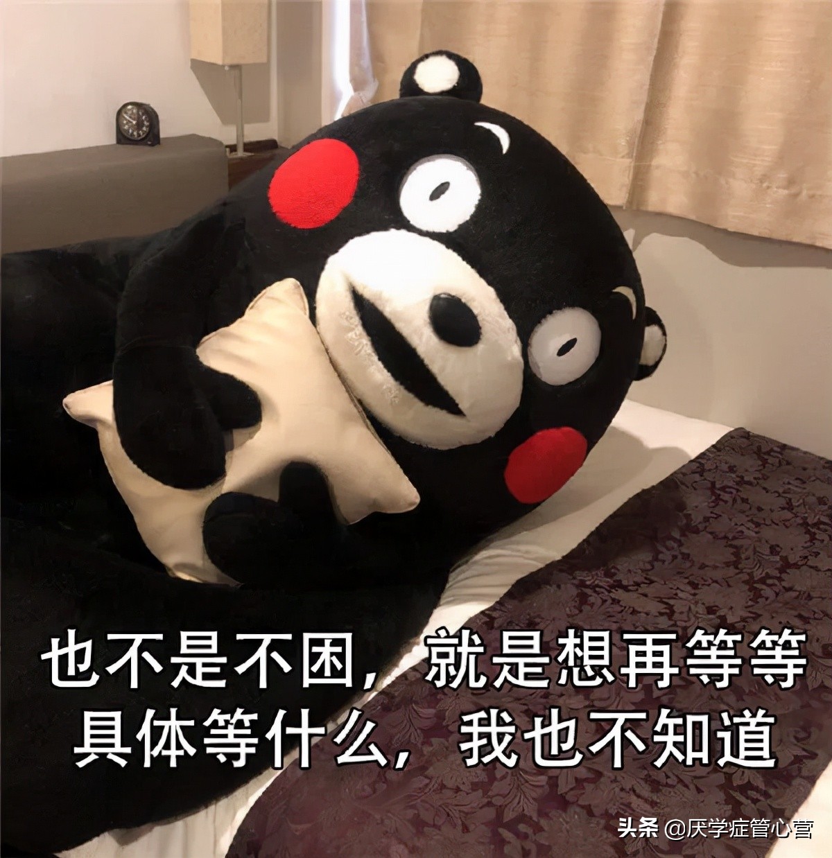 厌学情绪心理障碍怎么办,叛逆厌学与抑郁症厌学的区别