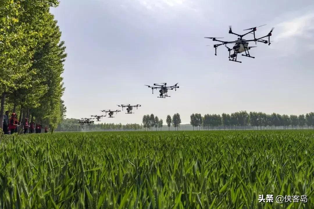 侠客岛：乡愁里的中国