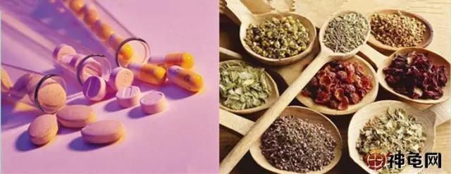 中药治龟,中药治龟病