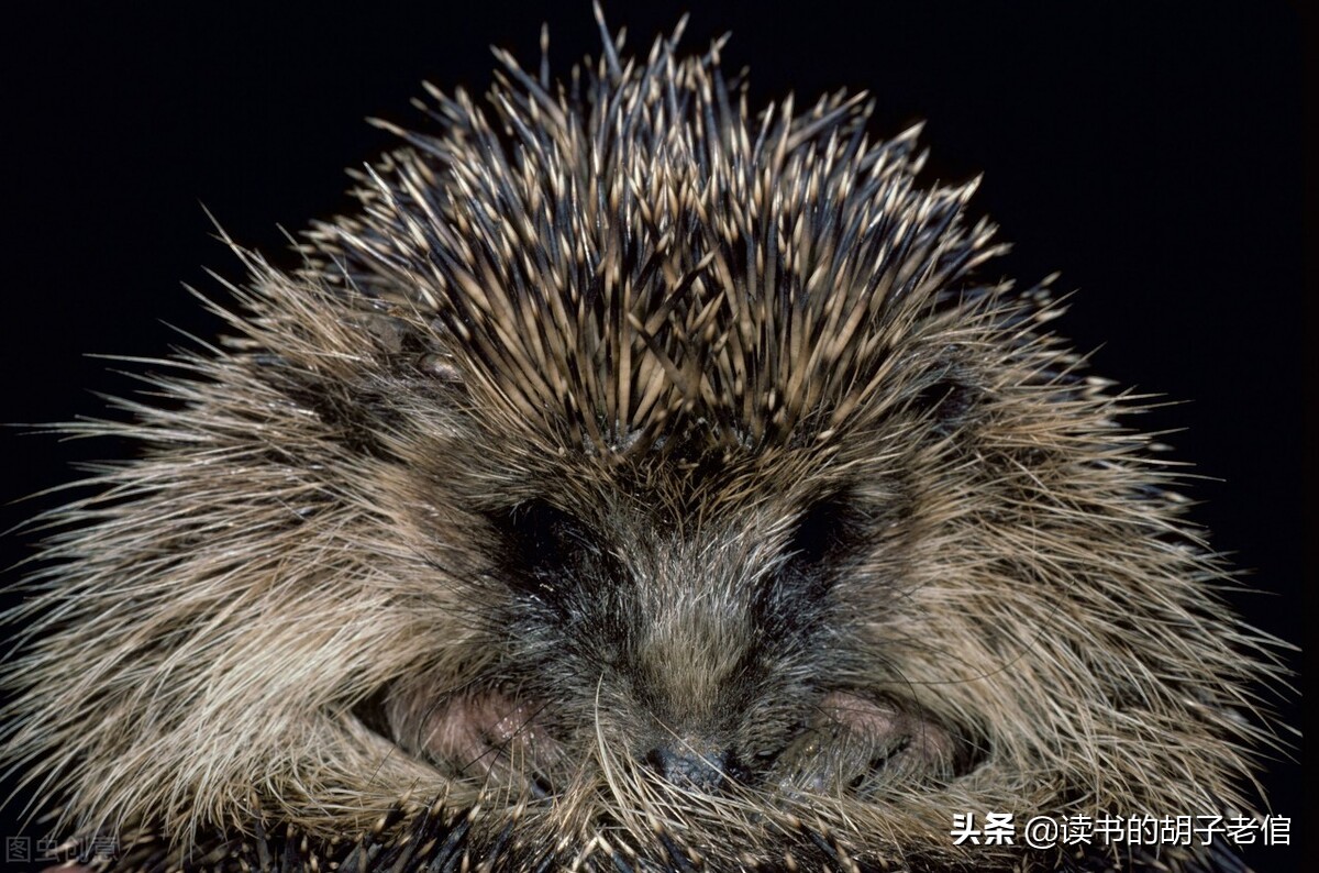 中年人怎么排解消极情绪,中年人怎样排除负面情绪