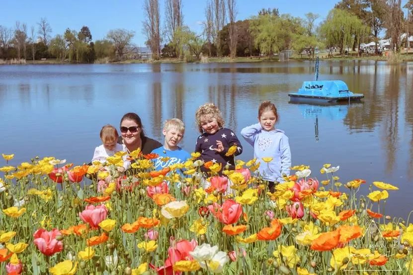 澳洲|春意堪培拉,看袋鼠、品酒、赏花、住进动物的家