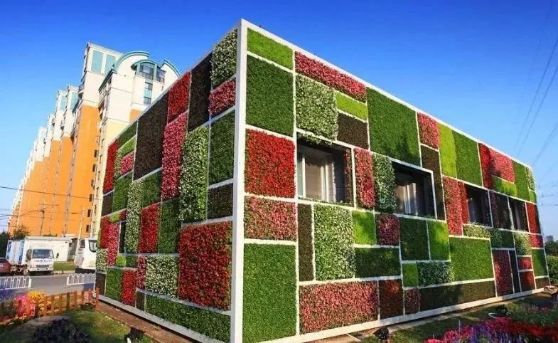 【FENG向】丰台花乡:匠人匠心,八百年打造京城里的″花花世界″