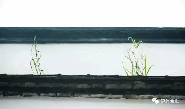 王东岳的物演通论是否算著作,有关物演通论王东岳的评论