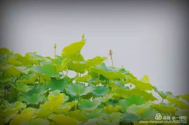 西乡周边景色美的地方,西乡哪里有夜景好看的