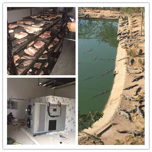 鳄鱼肉烘干机,不锈钢板鸭烘干机报价