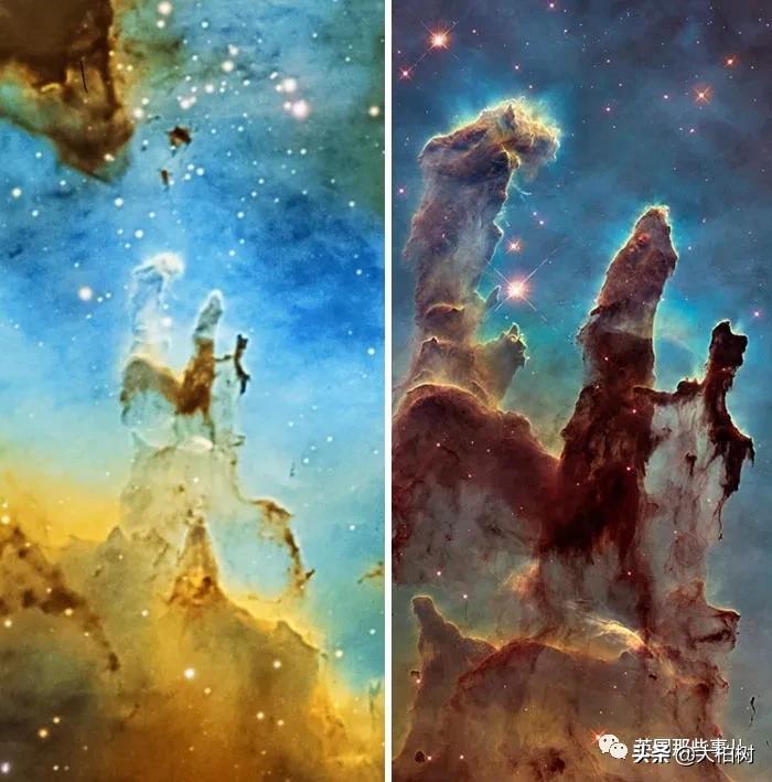 蓝鲸到底有多大,直观感受蓝鲸有多大