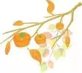 abybom桃花面膜,abybom面膜补水