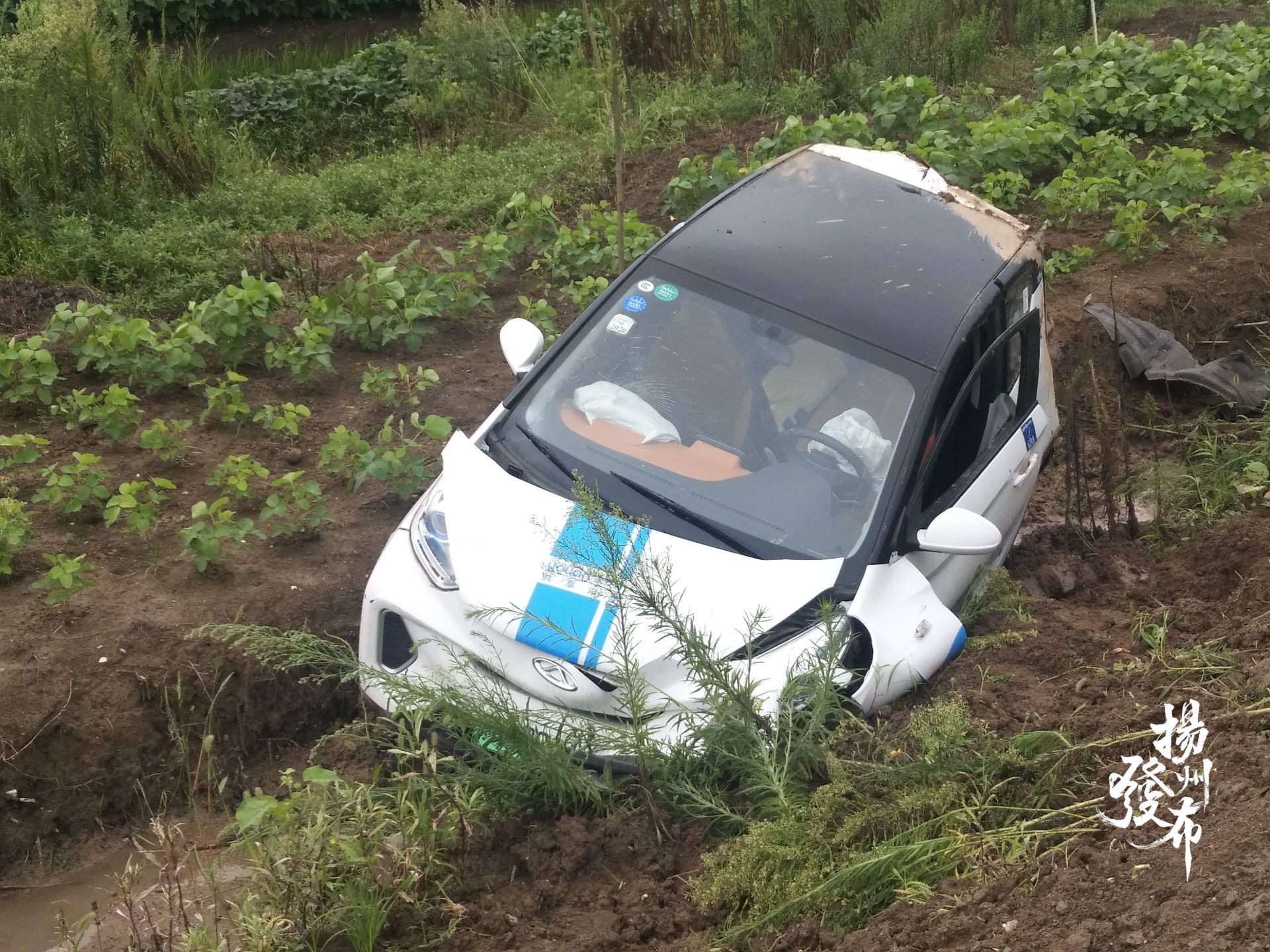 车主不知情车被开走出事故谁负责,租车出现事故车上人受伤谁负责