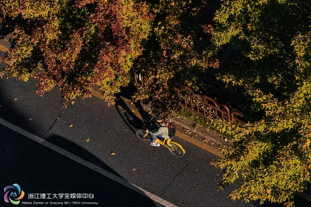 新浙理人|初识浙江理工大学,在这儿学习生活的一天是怎样的?