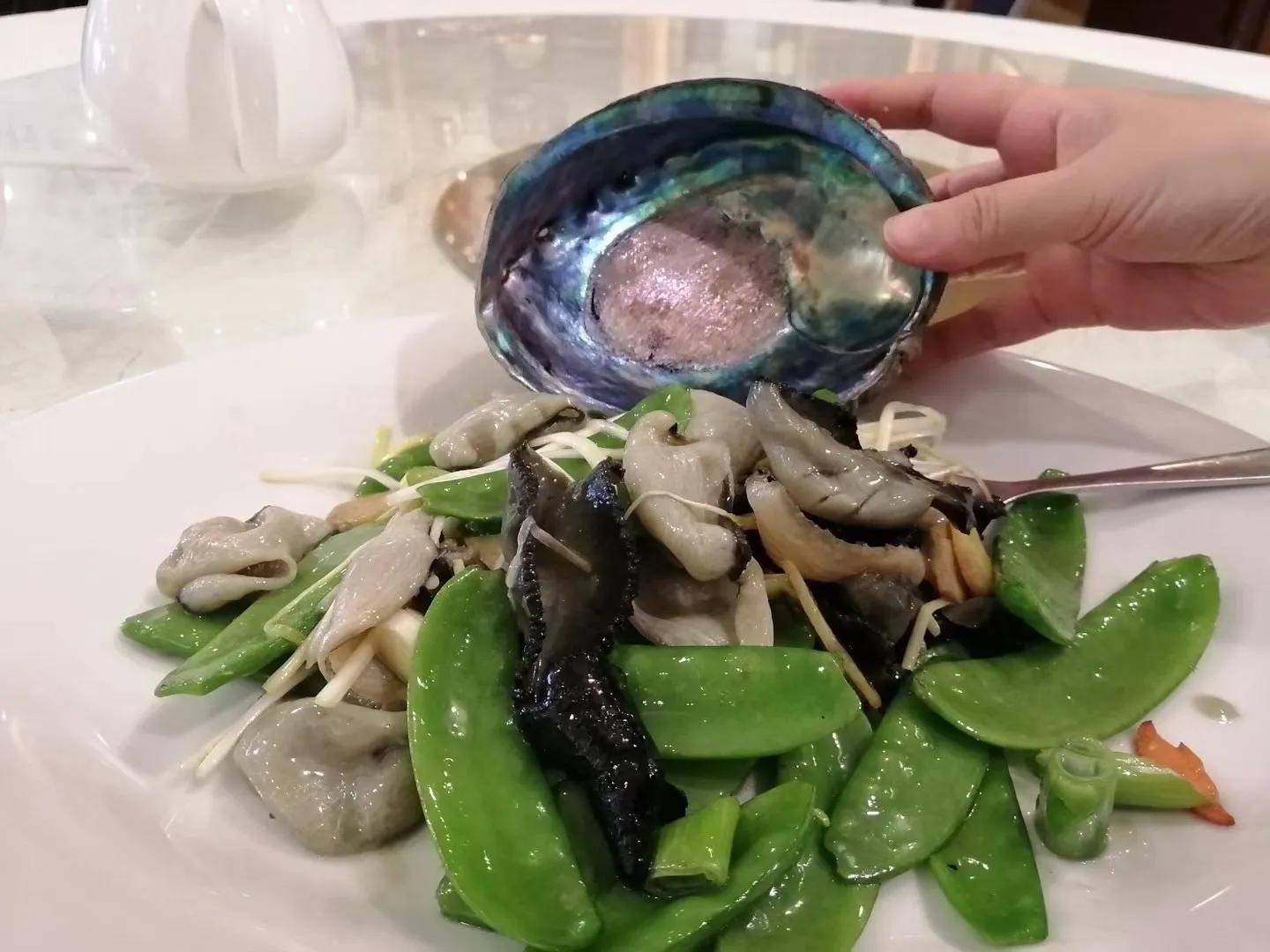 记忆中的旅行之新西兰(北岛)