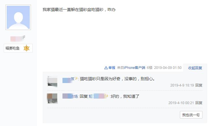 猫咪不良习惯可以训练好吗,猫咪不良行为视频