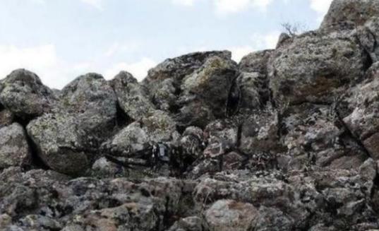 *击狙**手的伪装能力究竟有多强？很少有人能在3秒内全部发现的