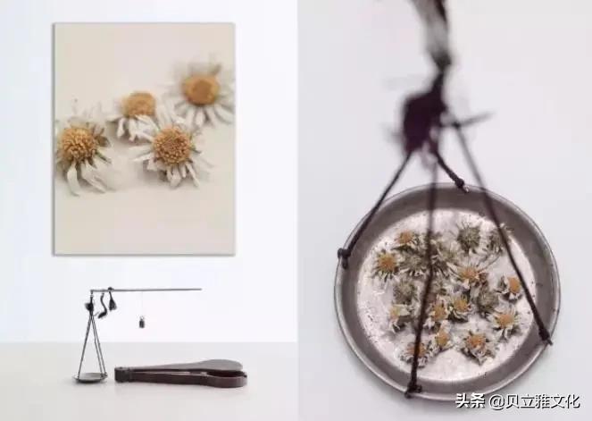 护肤植物精油有什么功效,洋甘菊护肤品的功效与作用