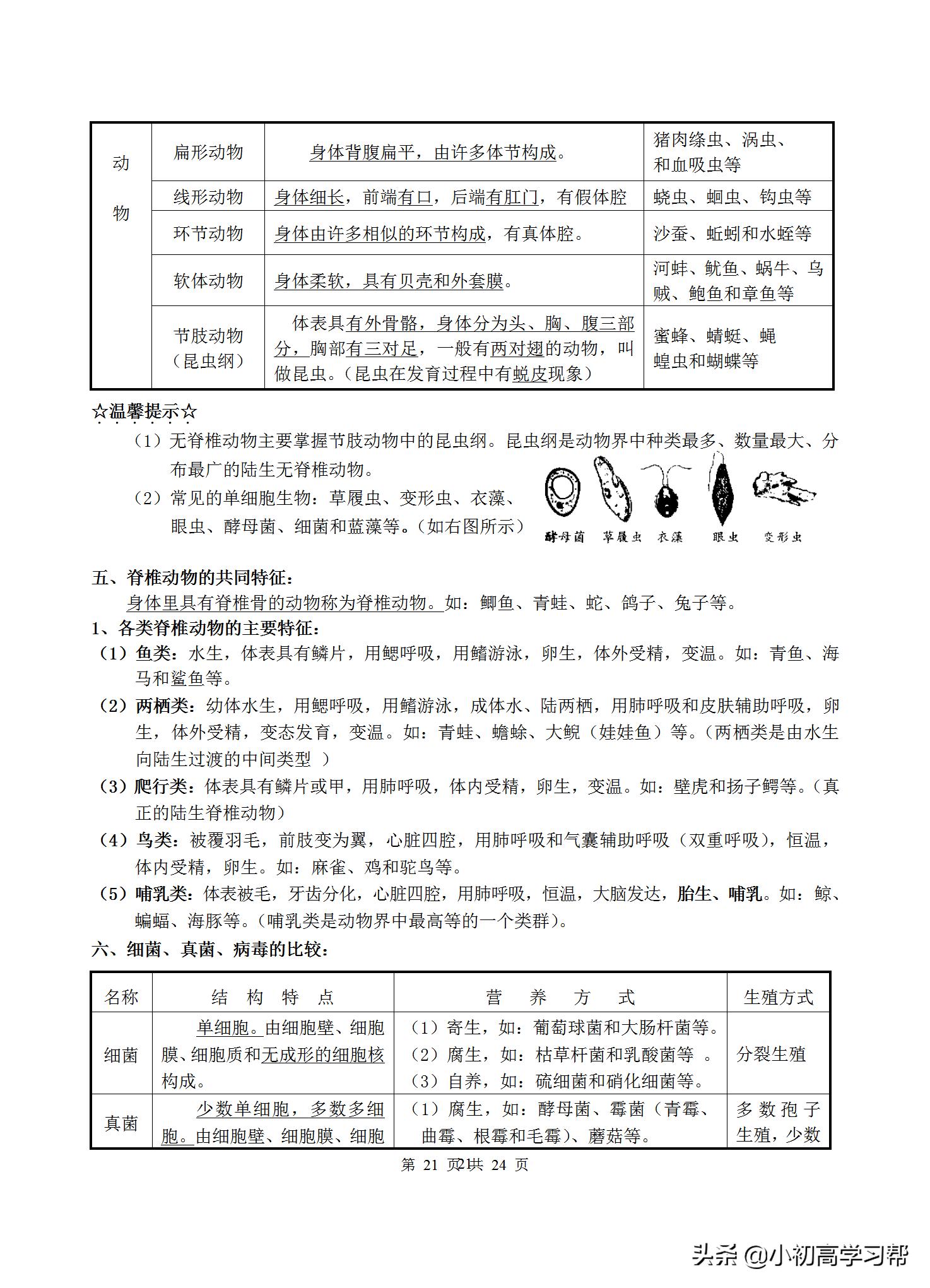 中考生物复习资料大全免费,2022中考生物必考知识点总结
