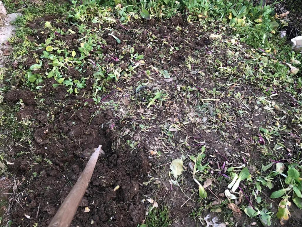 新手怎么在家做自媒体赚钱,怎么申请在家做自媒体赚钱