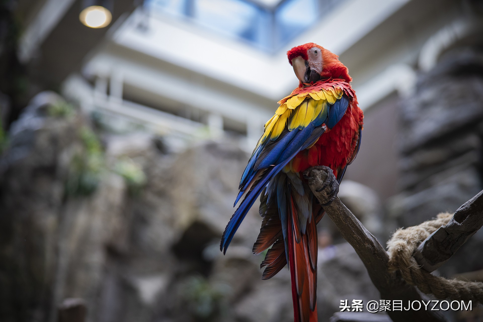 佳能28-70f2.8一代镜头值得购买吗,佳能rf28-70mmf2镜头测评