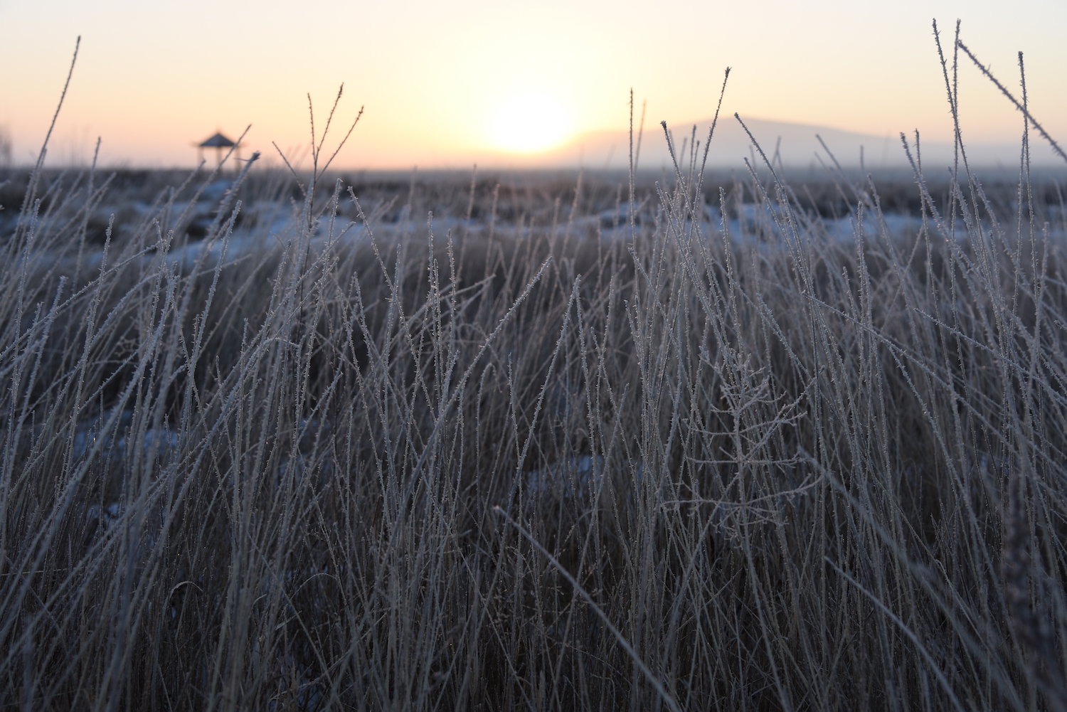 乌拉盖狼图腾拍摄地秋天去还行吗,乌拉盖狼图腾旅游