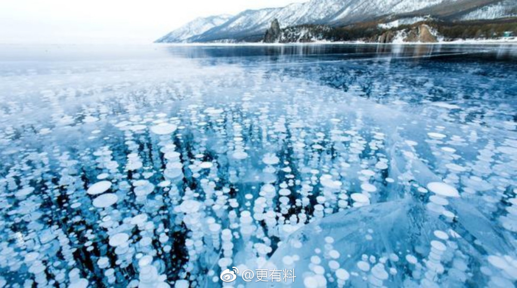 狮子发现的尸体,史前狮子尸体