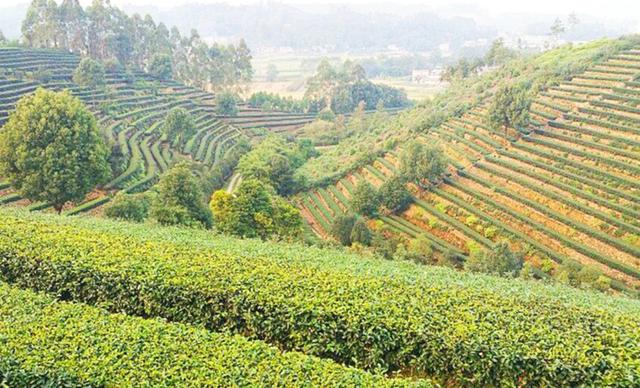 四川自古以来富有吗,四川古时候富有吗