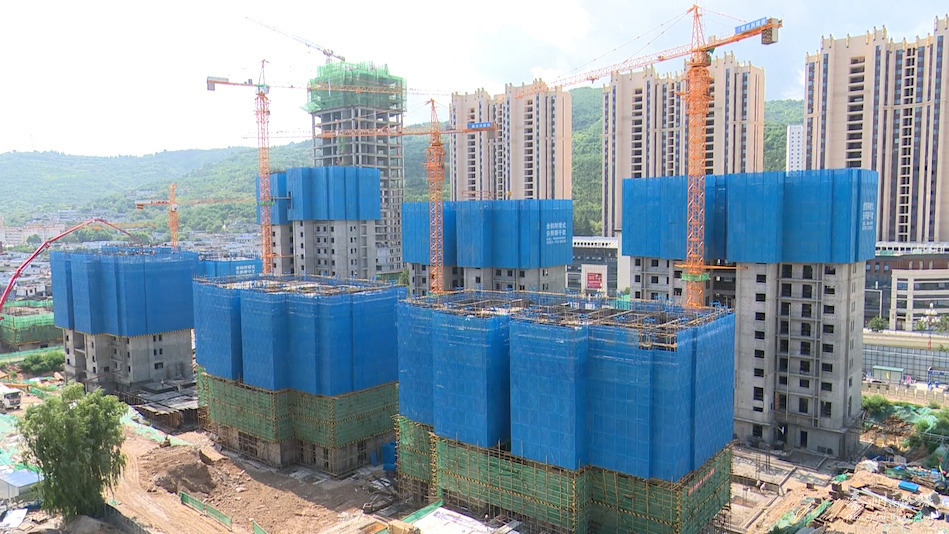 一线看项目,一线调研看发展