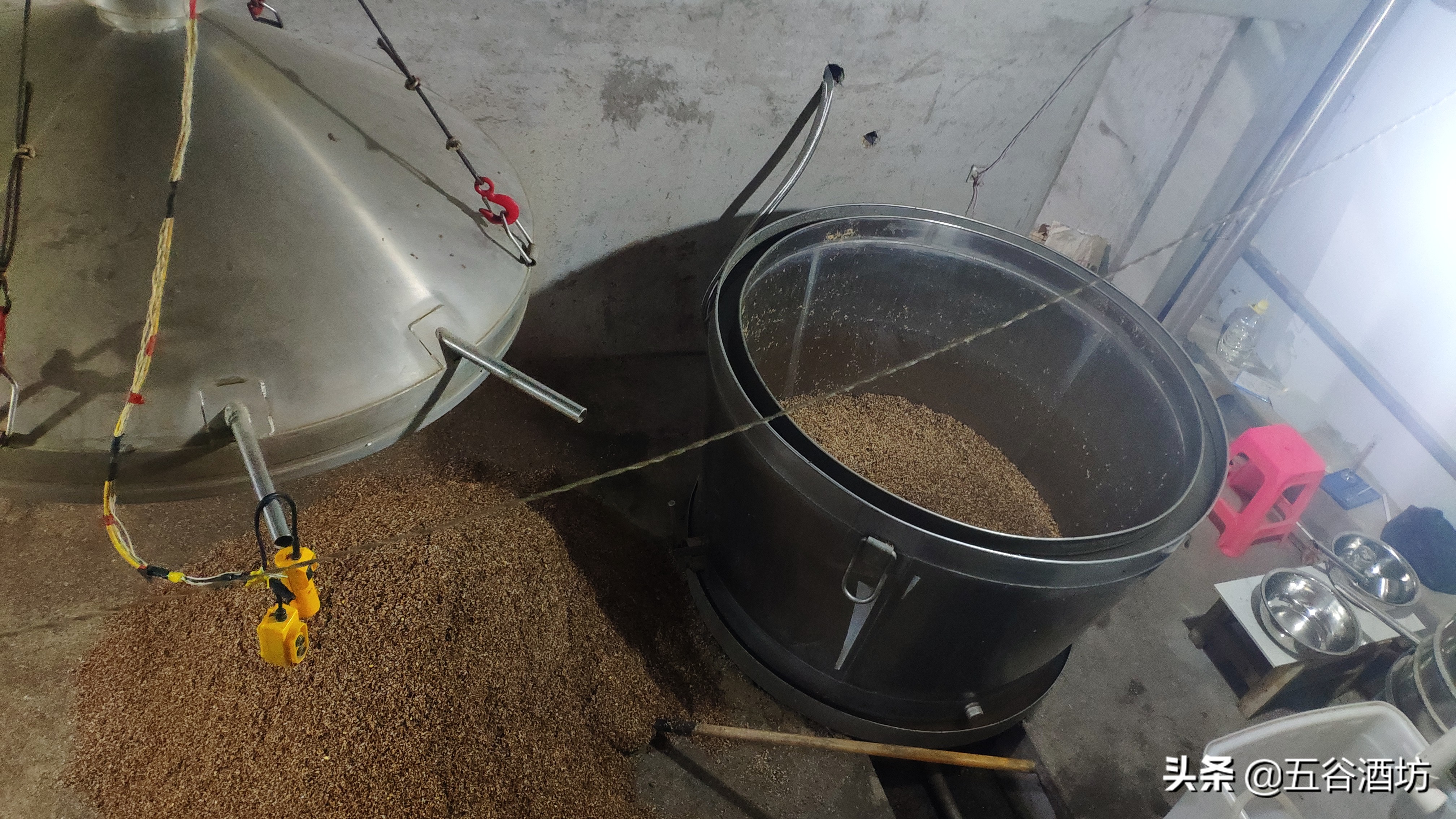 日常喝的5种白酒有哪些,关于白酒你应该知道这些事