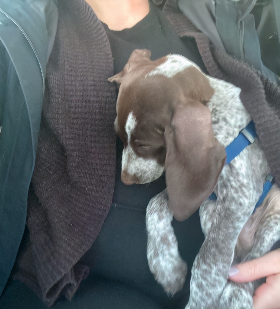 美军大兵在家中发现妻子出轨,美国大兵服役发现妻子出轨