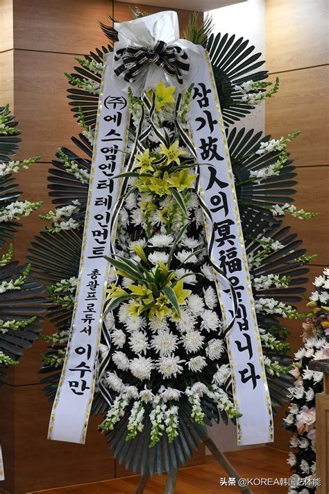 shinee韩国名人,韩流明星解说