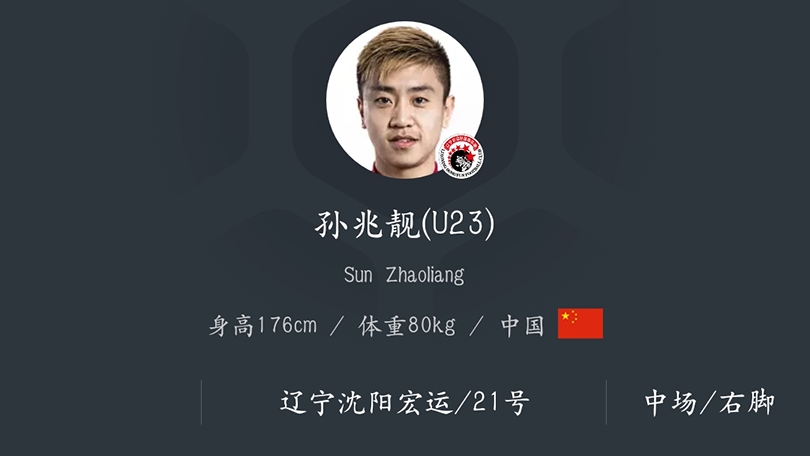 辽宁宏运中甲表现,中甲联赛辽宁宏运