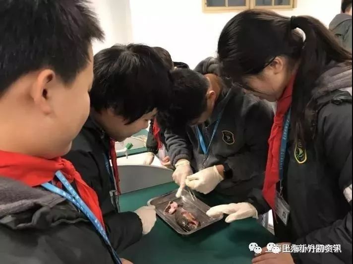 浦东这所学校堪称裸考之王！没有亲爹照顾，靠鸡血杀出一条路